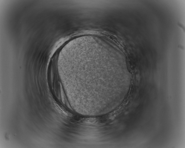 X0000097770104200804041201