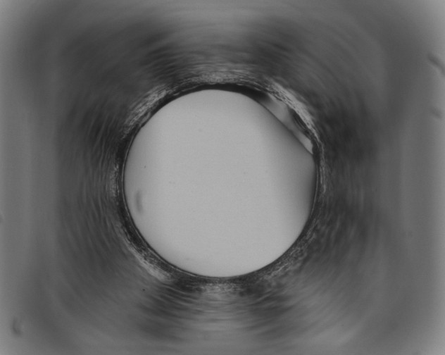 X0000097770105200804041201