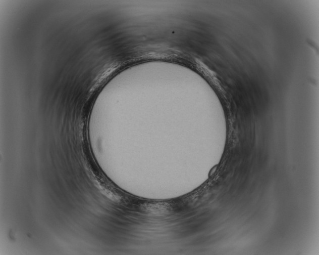 X0000097770106200804041201