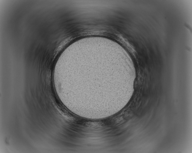 X0000097770107200804041201