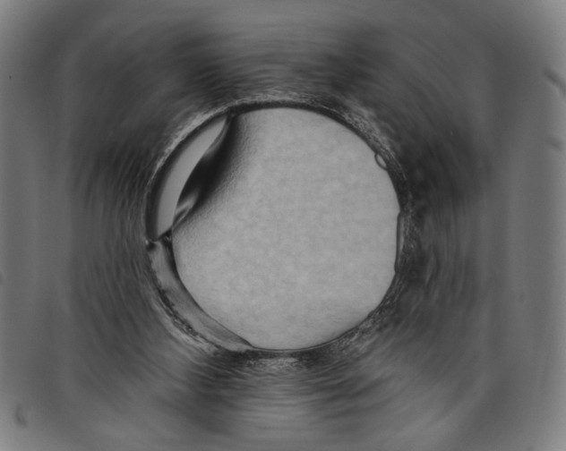 X0000097770108200804041201