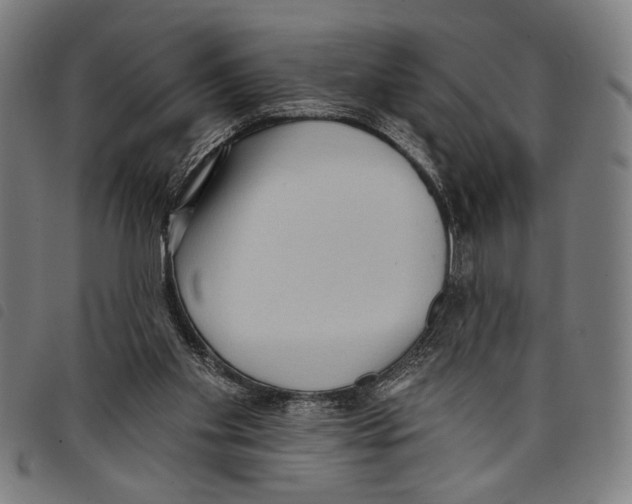 X0000097770109200804041201