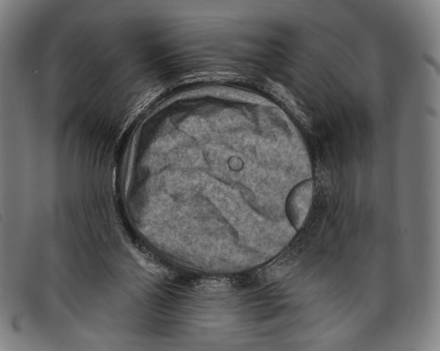 X0000097770110200804041201