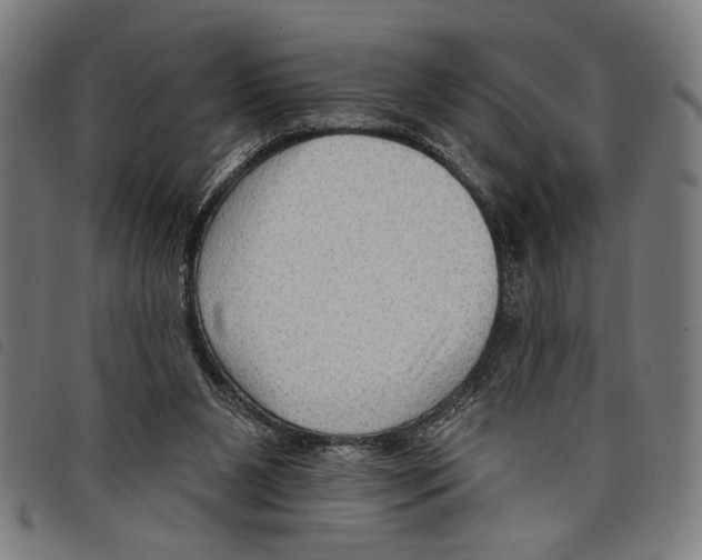X0000097770111200804041201