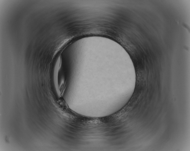 X0000097770112200804041201