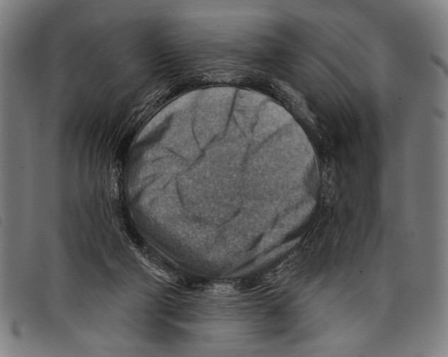 X0000097770114200804041201