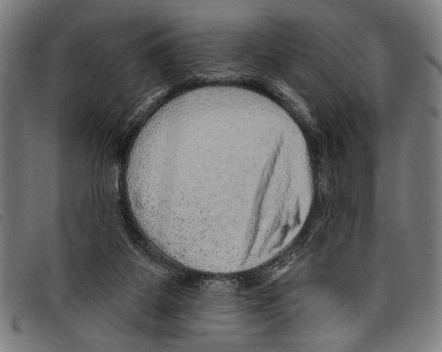X0000097770115200804041201
