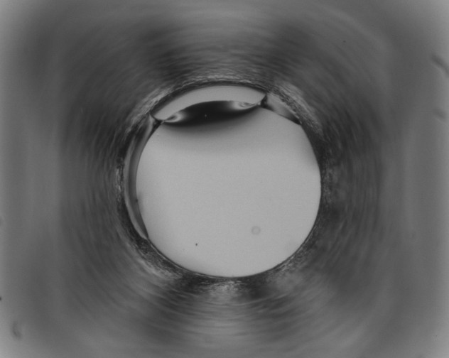 X0000097770116200804041201