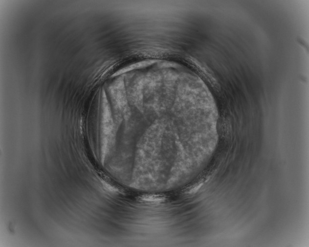 X0000097770117200804041201