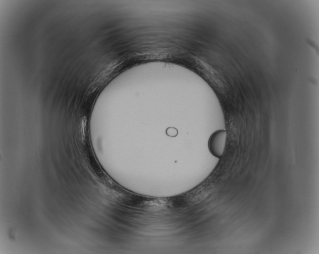 X0000097770118200804041201