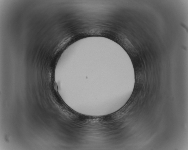 X0000097770120200804041201