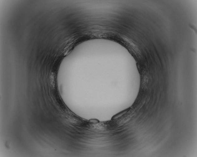 X0000097770121200804041200