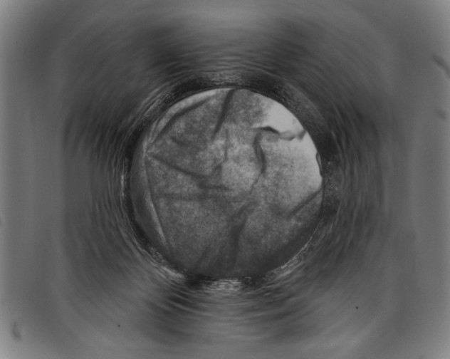 X0000097770124200804041200