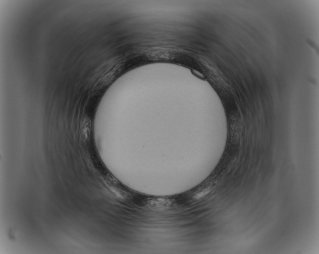 X0000097770125200804041200