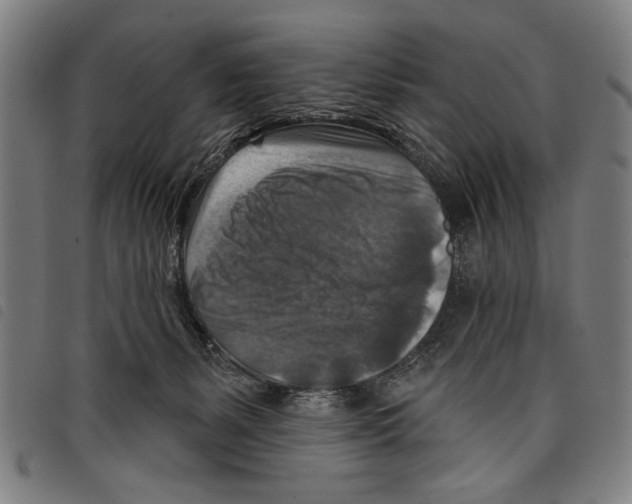 X0000097770127200804041200