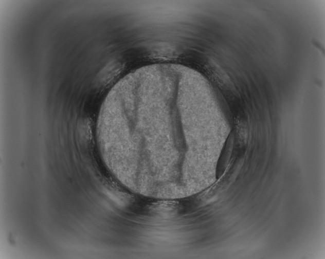 X0000097770128200804041200