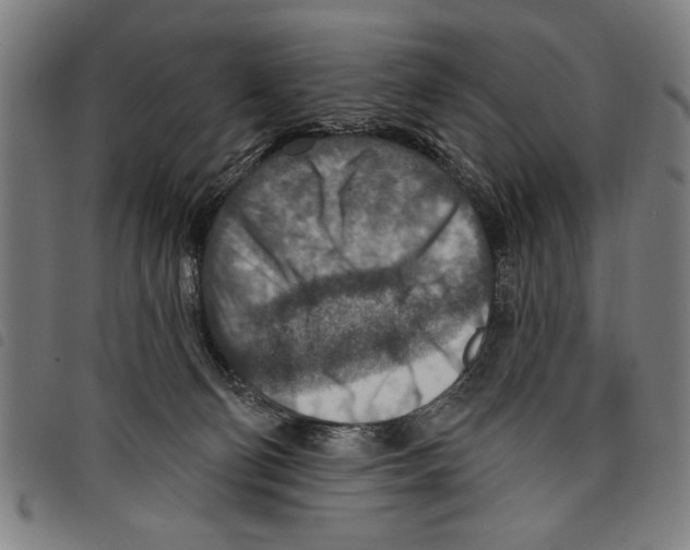 X0000097770130200804041200