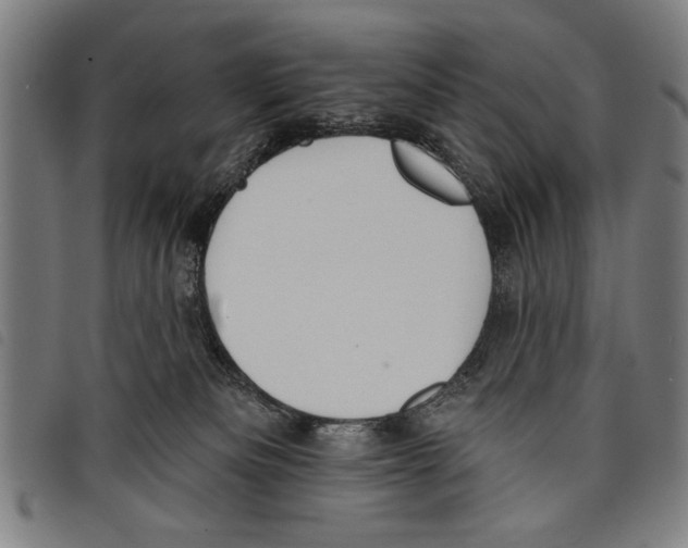 X0000097770133200804041200
