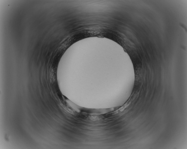 X0000097770136200804041200