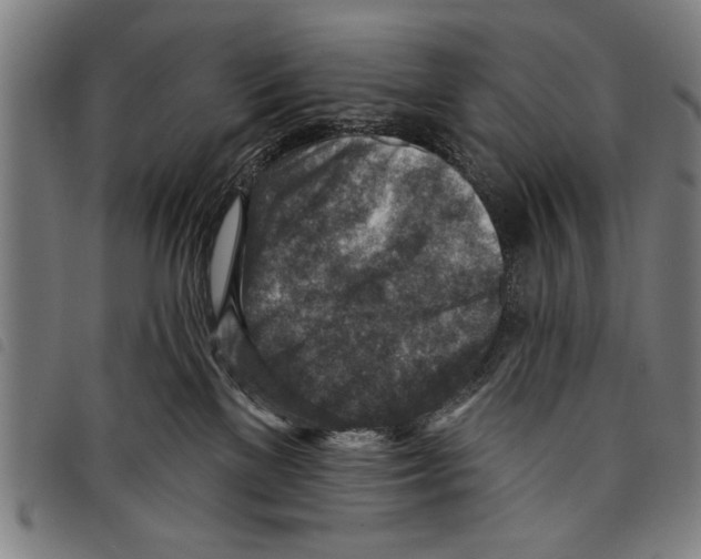 X0000097770137200804041200