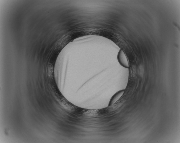 X0000097770138200804041200