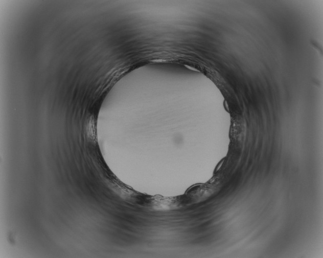 X0000097770143200804041200