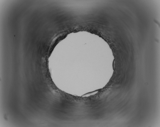 X0000097770144200804041200
