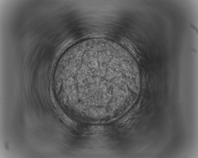 X0000097770145200804041159