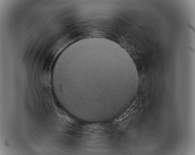 X0000097770146200804041159