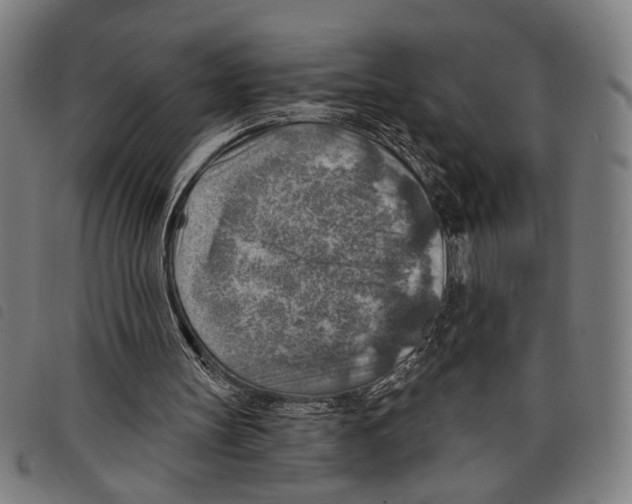X0000097770147200804041159