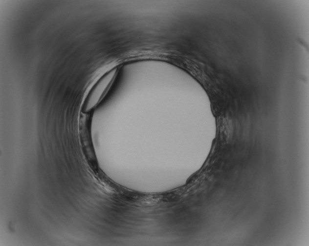 X0000097770148200804041159