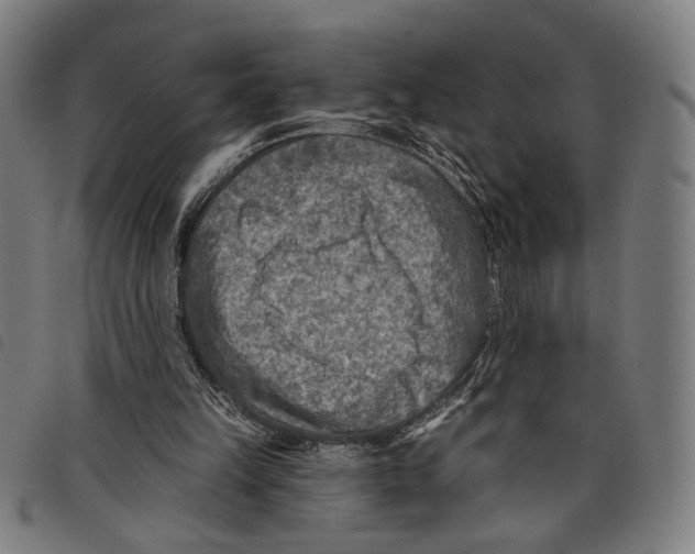 X0000097770149200804041159