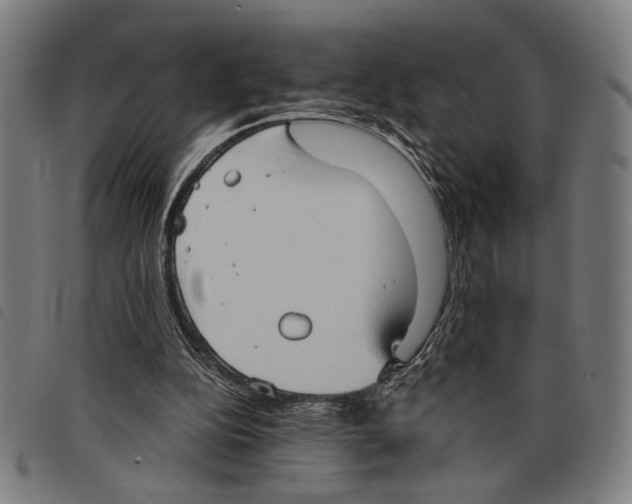 X0000097770152200804041200