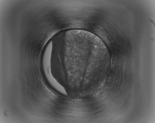 X0000097770156200804041200