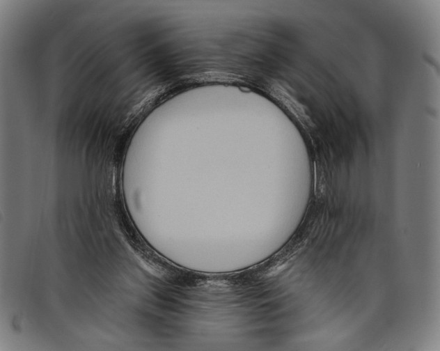 X0000097770157200804041200