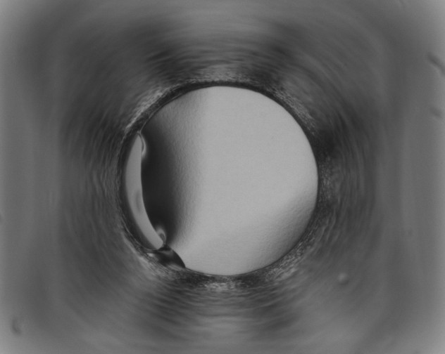 X0000097770160200804041200