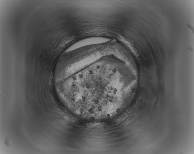 X0000097770161200804041200