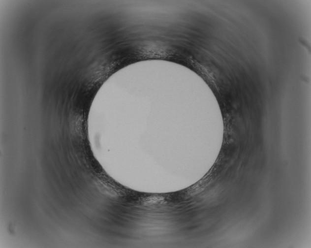 X0000097770162200804041200
