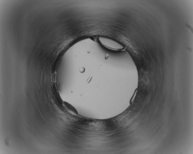 X0000097770164200804041200