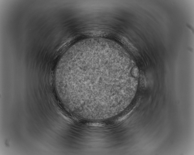 X0000097770165200804041200