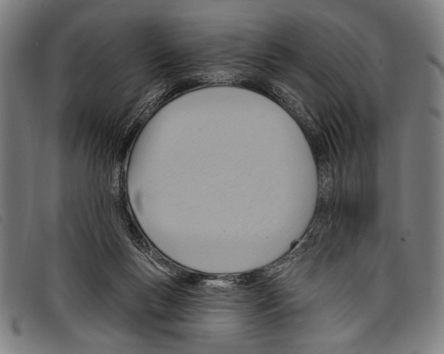 X0000097770167200804041200