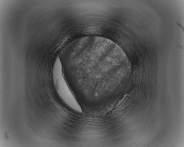 X0000097770168200804041200
