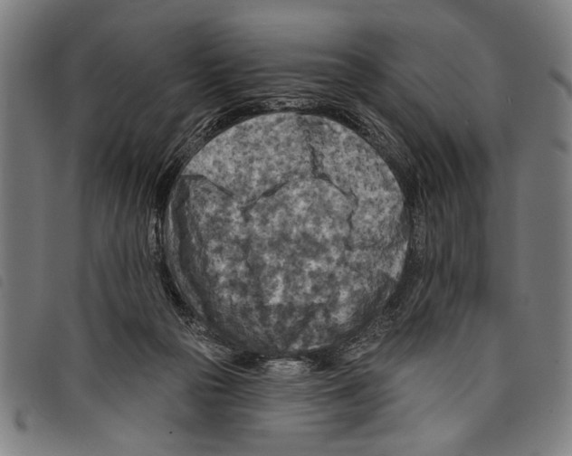 X0000097770169200804041200