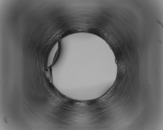 X0000097770170200804041200