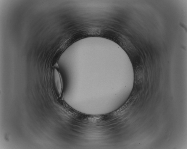X0000097770172200804041200