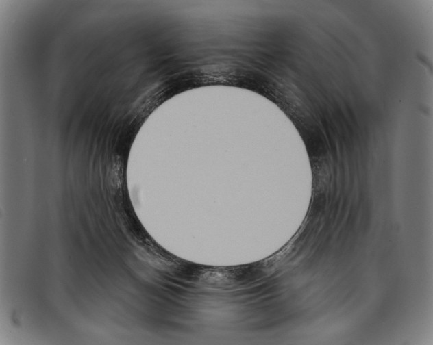X0000097770174200804041200