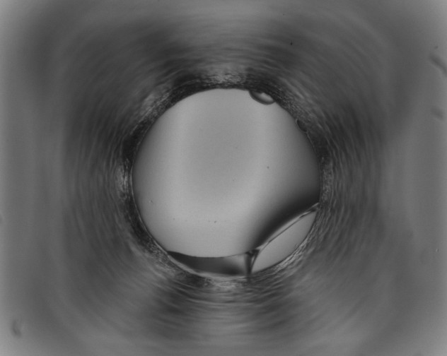 X0000097770176200804041200