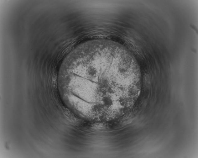 X0000097770177200804041200