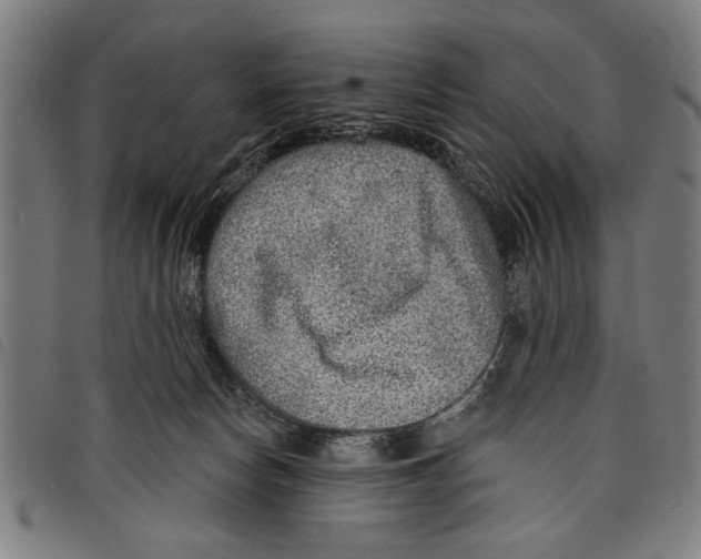 X0000097770178200804041200