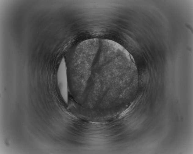 X0000097770180200804041200
